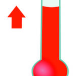 HDPE has high crystallinity and high melting temperatures 